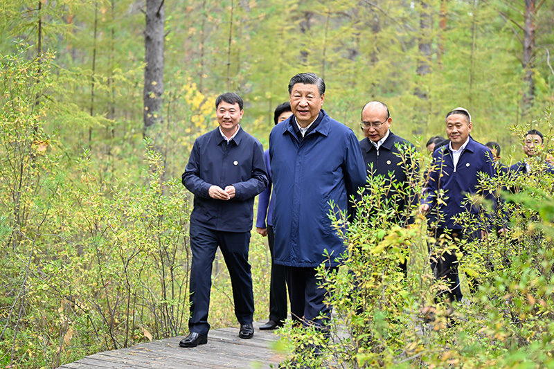 9月6日至8日，中共中央總書記、國家主席、中央軍委主席習近平在黑龍江考察。這是6日下午，習近平在大興安嶺地區漠河市漠河林場自然林區考察